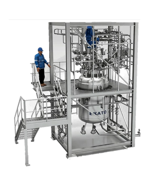 Process and pilot plant